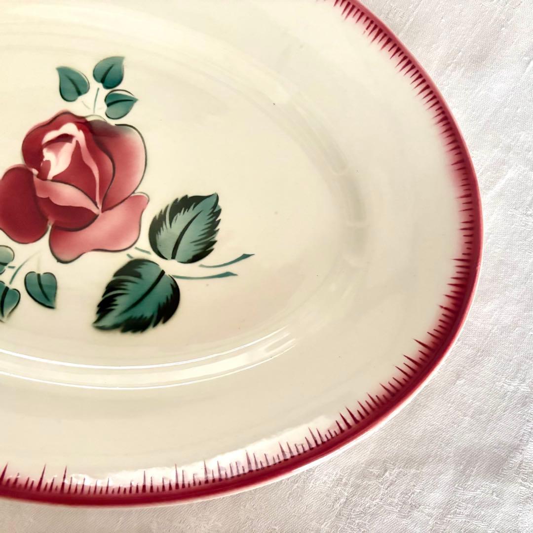 フランスアンティーク✧サルグミンヌ ❁⃘絵画のように美しい 薔薇のラヴィエꕤ︎︎˚⁎