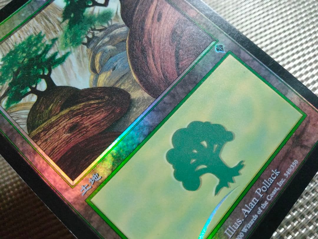 【ご確認用】インベイジョン foil 森(349)a 日本語 1枚 MTG