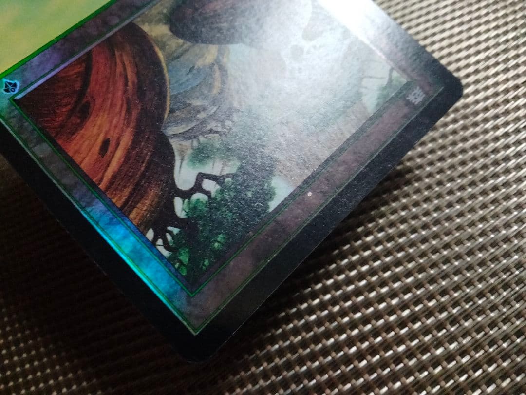 【ご確認用】インベイジョン foil 森(349)a 日本語 1枚 MTG