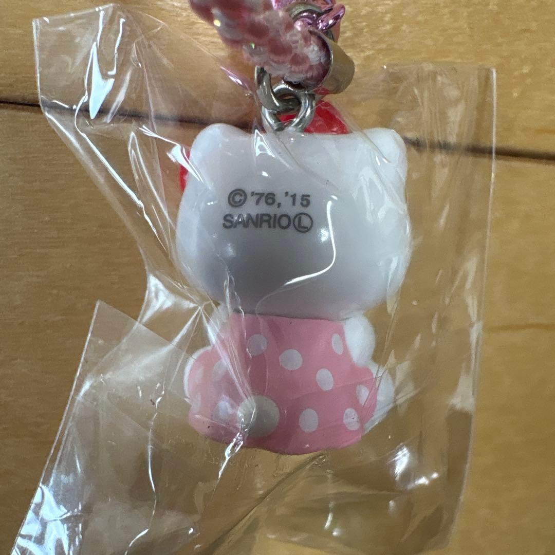 【激レア】ご当地キティ　滋賀限定 琵琶湖