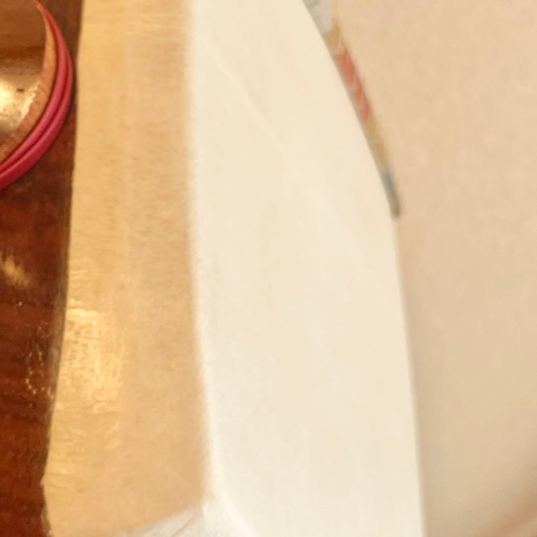 三味線 津軽三味線風 練習用 犬皮　表やぶれあり