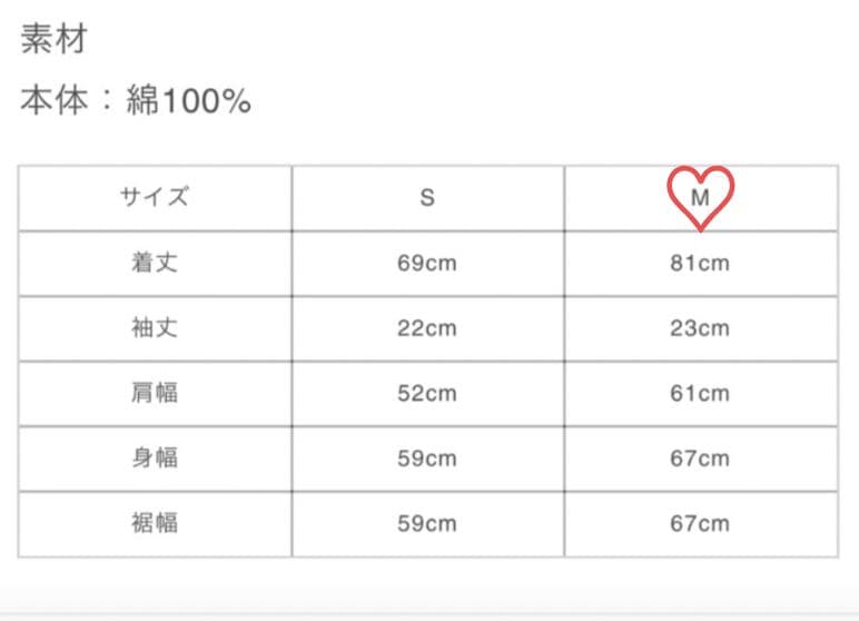 紗*綾様 岩田剛典 GOD ONLY KNOWS Tシャツ Mサイズ