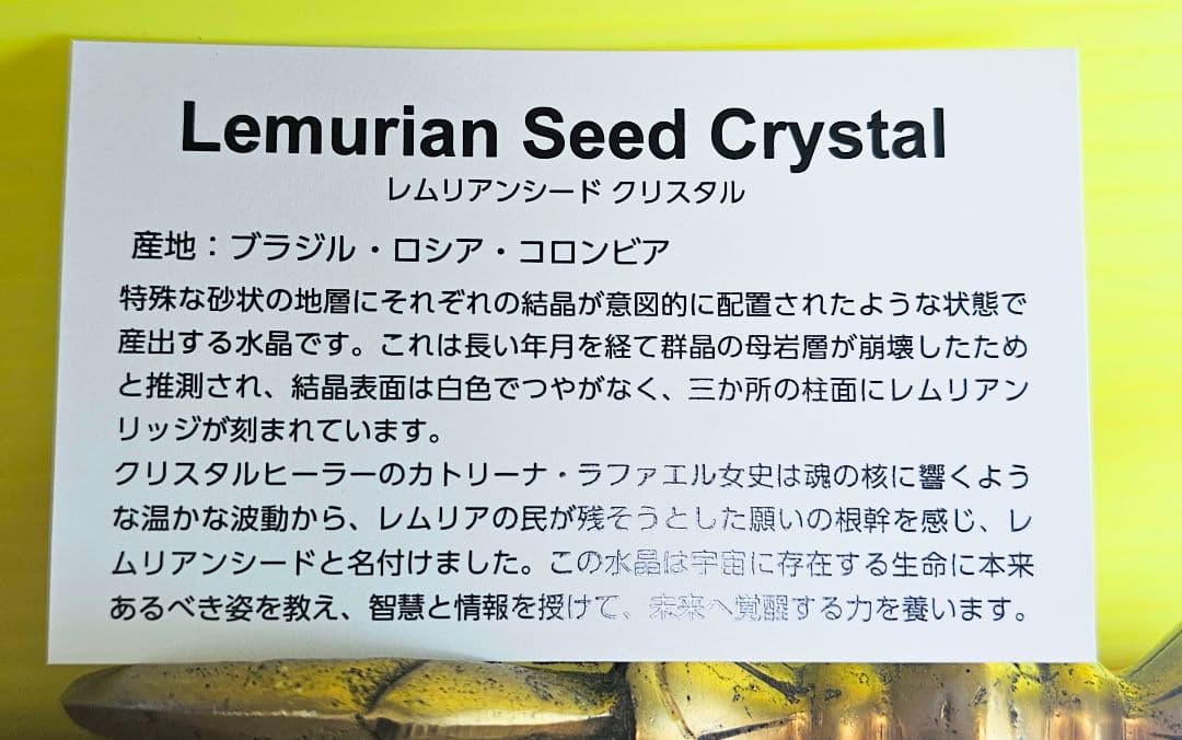 超希少‼️レコードキーパー入り‼️レムリアンシード