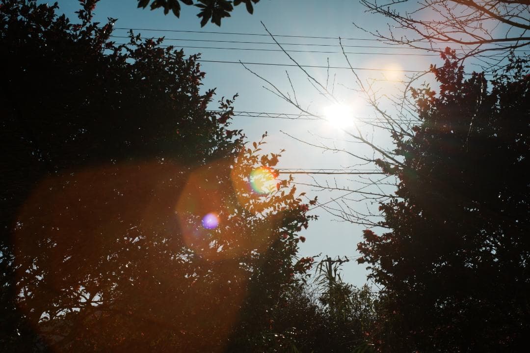 【整備＆テスト済】XR RIKENON 55mm F1.2 183 309