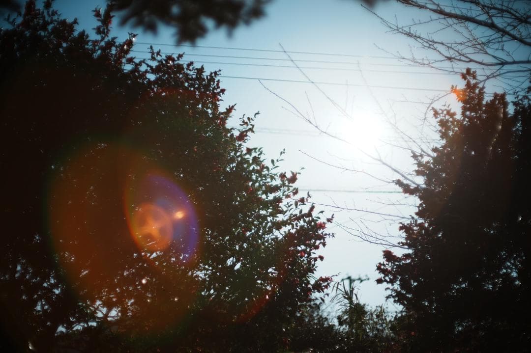 【整備＆テスト済】XR RIKENON 55mm F1.2 183 309