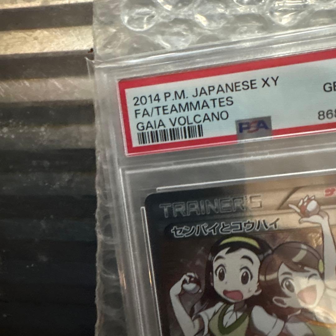 リ*ー様 センパイとコウハイpsa10