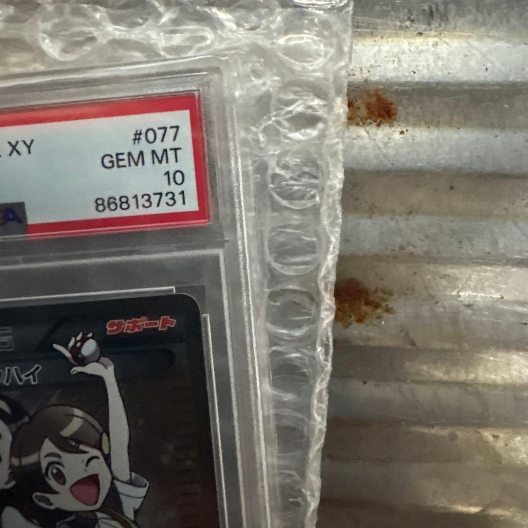 リ*ー様 センパイとコウハイpsa10