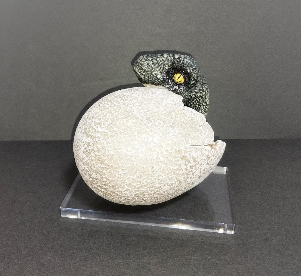 ヴェロキラプトル　孵化　ラプトルの卵　オブジェ　インテリア　たまご　フィギュア