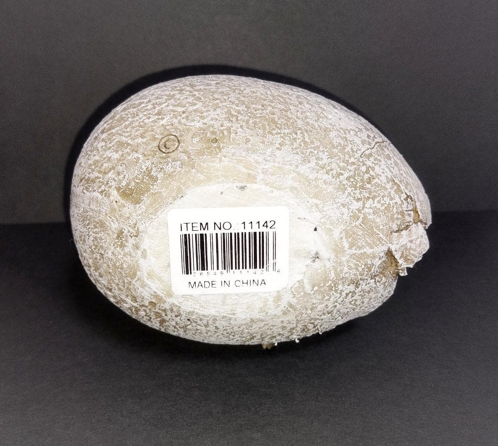 ヴェロキラプトル　孵化　ラプトルの卵　オブジェ　インテリア　たまご　フィギュア