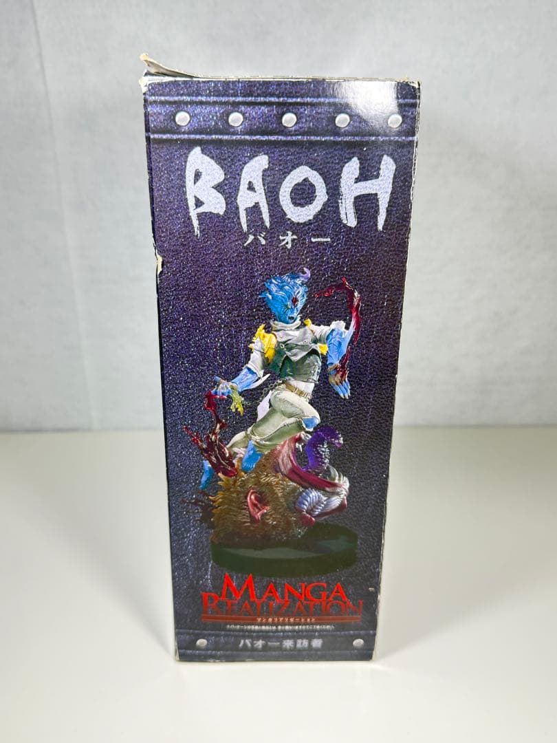 MANGA REALIZATION バオー来訪者