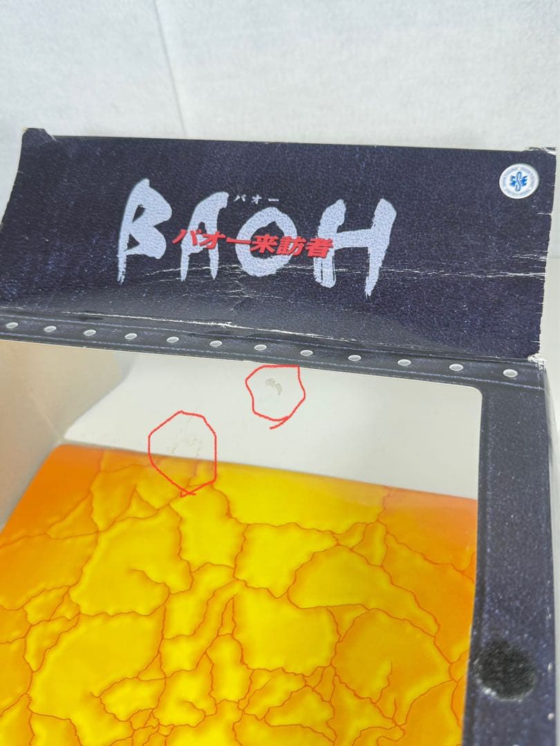 MANGA REALIZATION バオー来訪者