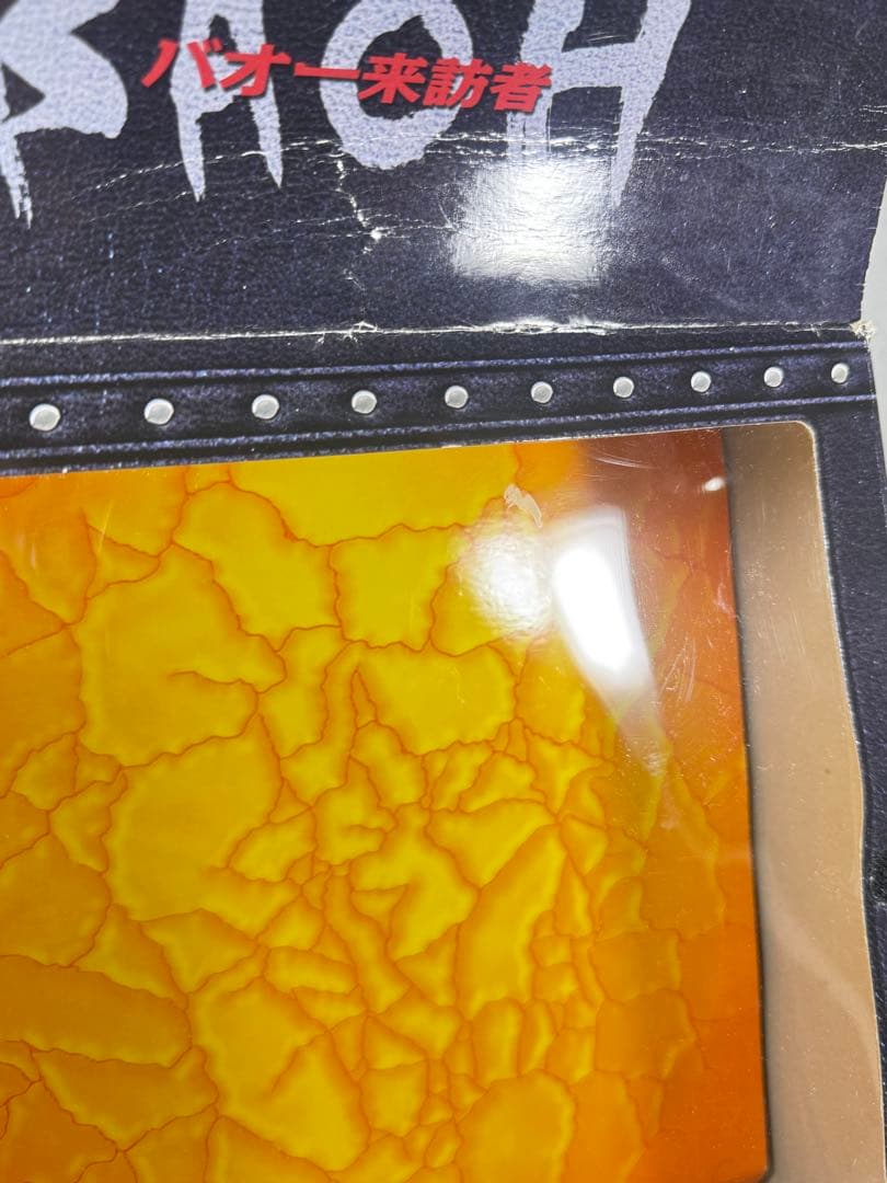 MANGA REALIZATION バオー来訪者