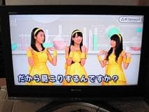 東芝REGZA 32型液晶TV /HDMI/D-sab/D4端子搭載 液晶テレビ