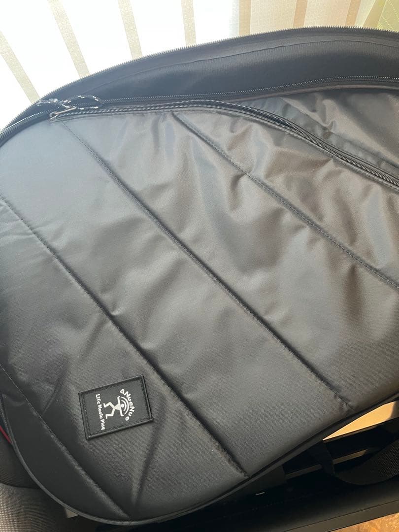 aNueNue LF280オール単板　ローズウッドモデル美品