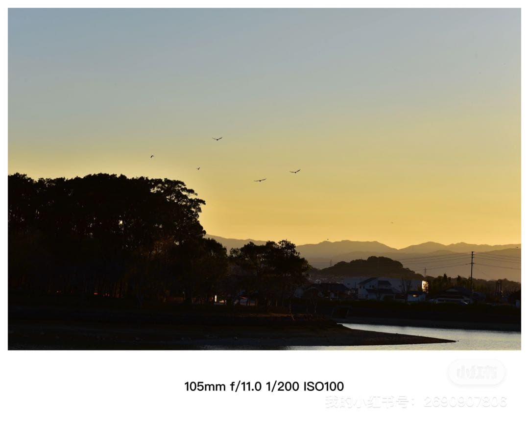 Nikon VR ズームレンズ 80-400