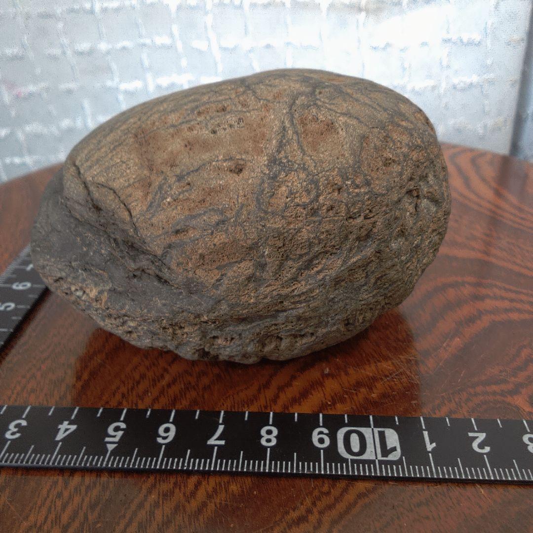 骨董１３ 隕石？ 子宝隕石？磁石反応無し レトロアンティーク ヴィンテージ