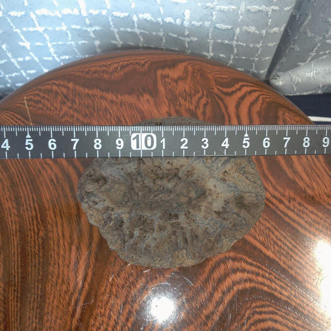 骨董１３ 隕石？ 子宝隕石？磁石反応無し レトロアンティーク ヴィンテージ