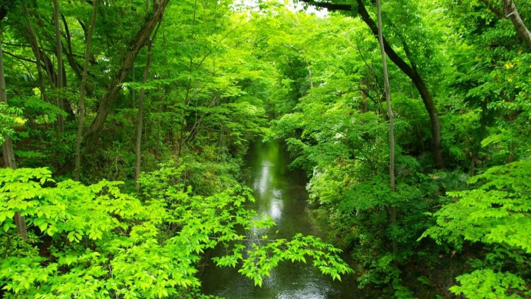 希少　PENTAX K20D-W 未発売モデル　ダブルレンズ⚡️初心者　警察用機