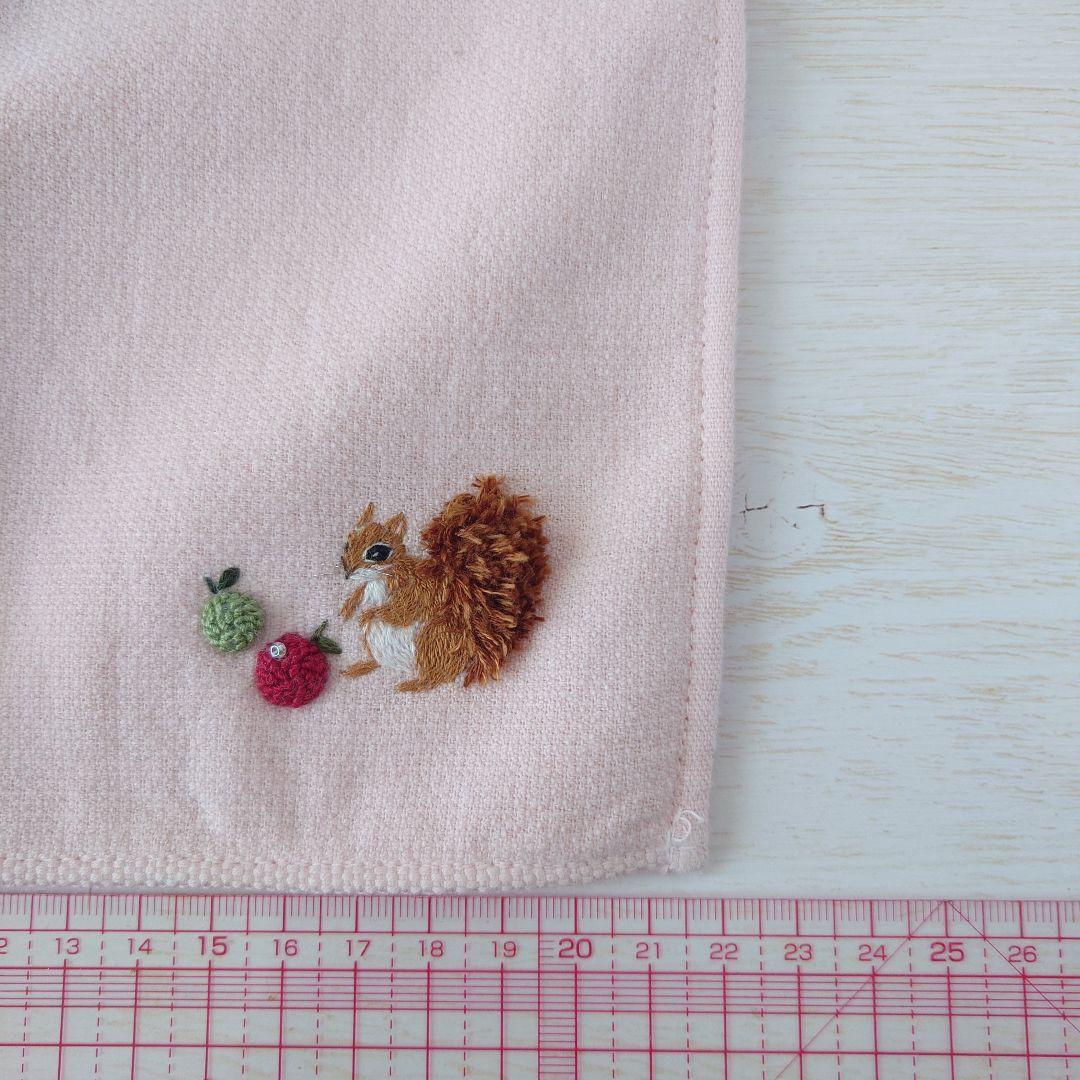 手刺繍入ちっちゃな タオルハンカチ【りす君と林檎】