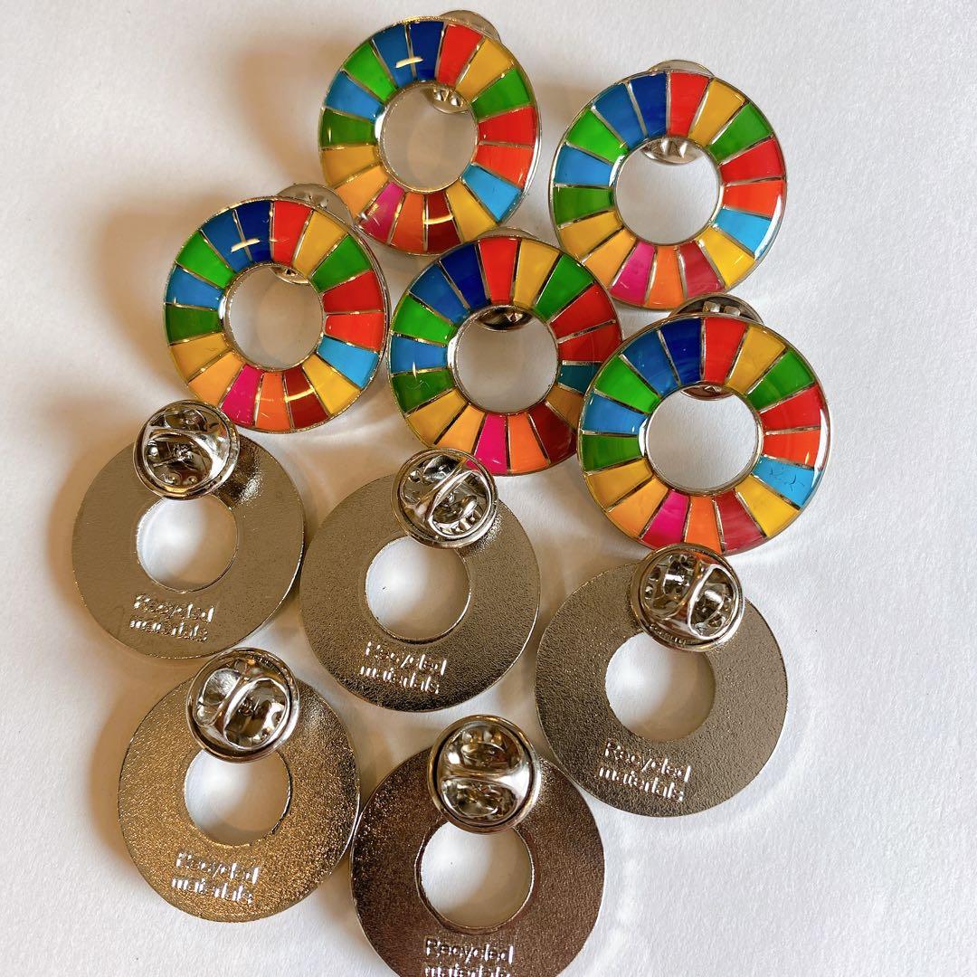 【国連本部入手品】SDGs ピンバッジ 10点【訳あり商品】