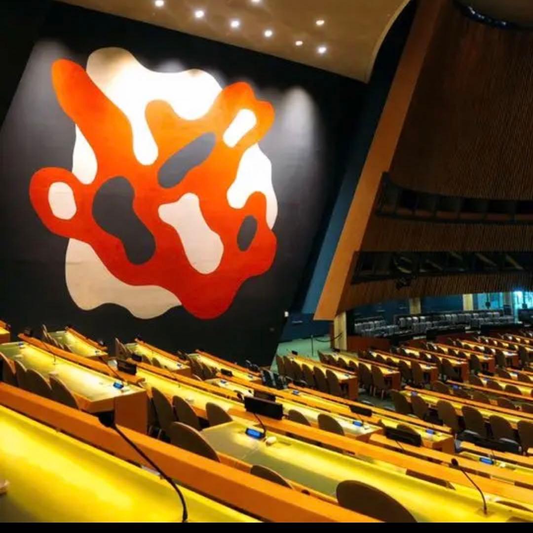 【国連本部入手品】SDGs ピンバッジ 10点【訳あり商品】