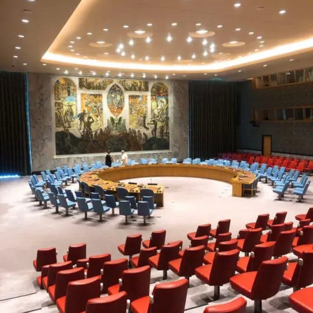 【国連本部入手品】SDGs ピンバッジ 10点【訳あり商品】