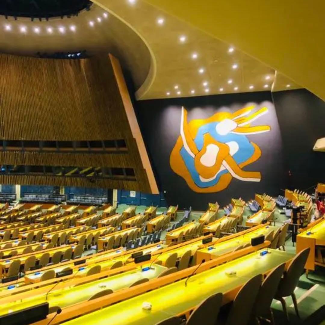 【国連本部入手品】SDGs ピンバッジ 10点【訳あり商品】