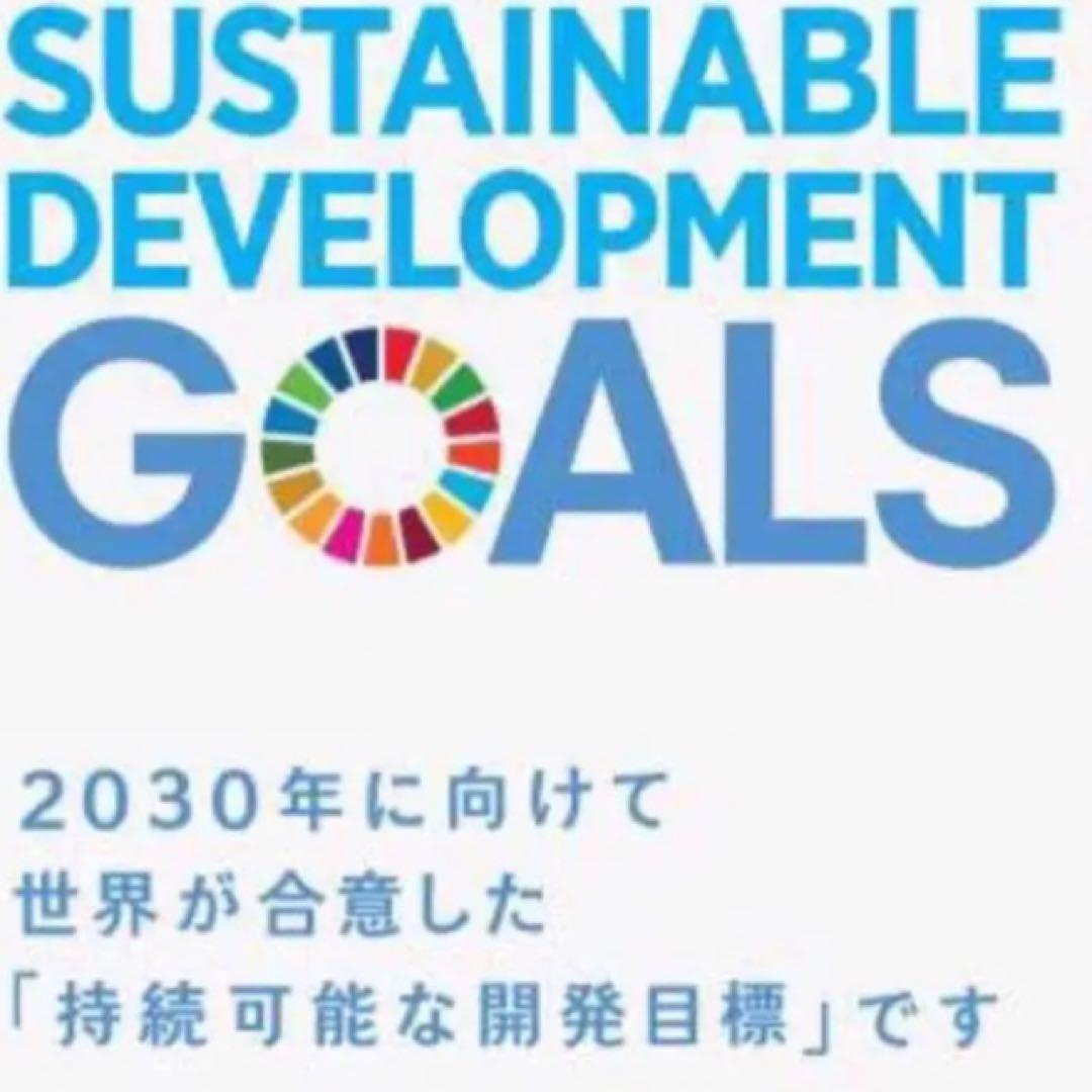 【国連本部入手品】SDGs ピンバッジ 10点【訳あり商品】