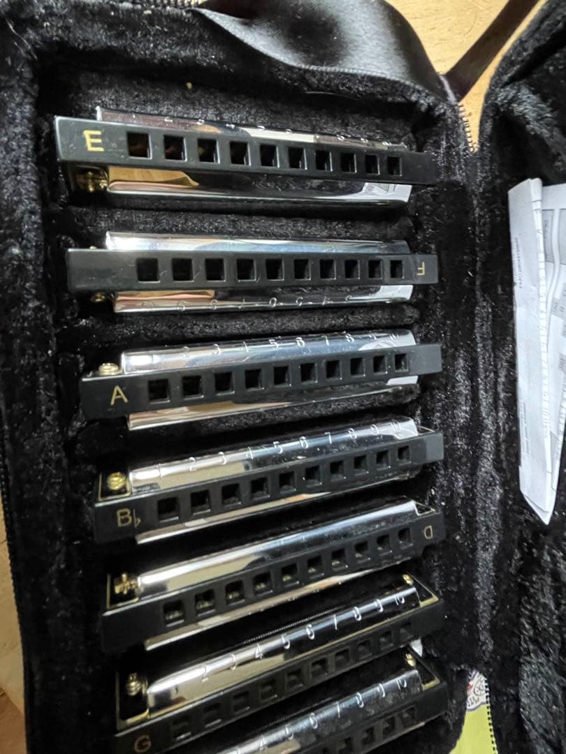 す*ん様 Hohner Chromatic 12 ブルースハーモニカセットクロマ