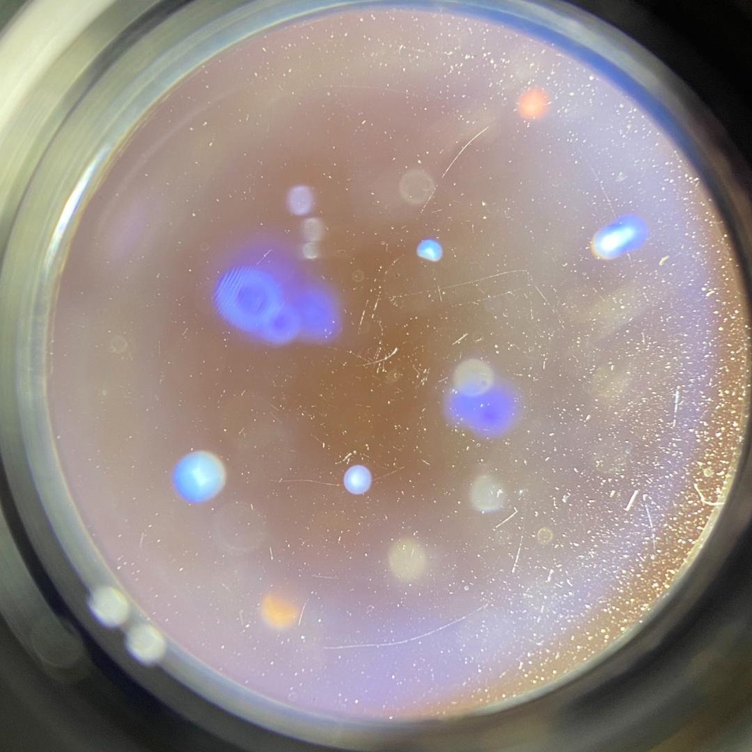 Canon SERENAR セレナー L50mm f1.9 沈胴