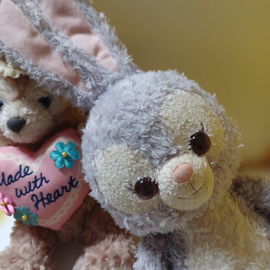 ディズニーシー　ダッフィー　シェリーメイ　ステラルー　ぬいぐるみ　マスコット