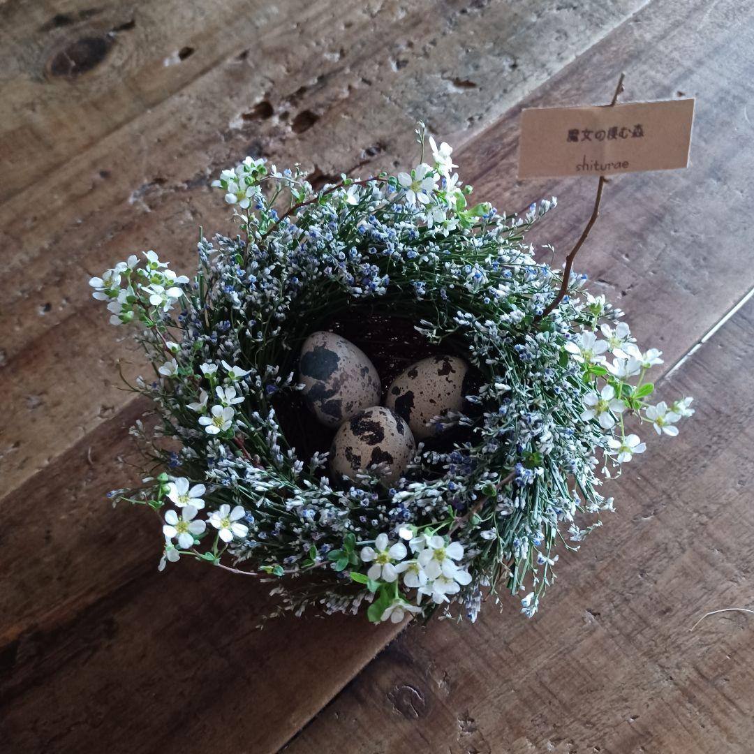 【魔女の棲む森～le nid d'oiseau～】ドライフラワー リース 鳥の巣