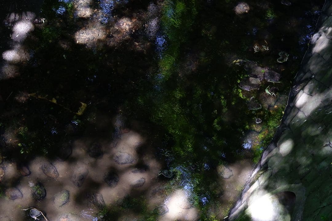 Sigma 56mm f1.4 DC DN ライカLマウント