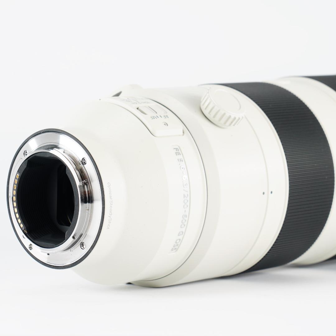 【プロ厳選】今まで撮れなかった写真が撮れるSEL200600G