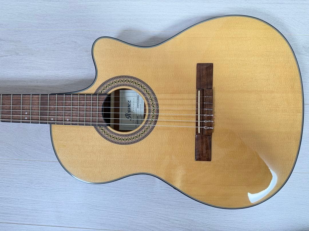 Ibanez エレガットギター GA30TCE-NT