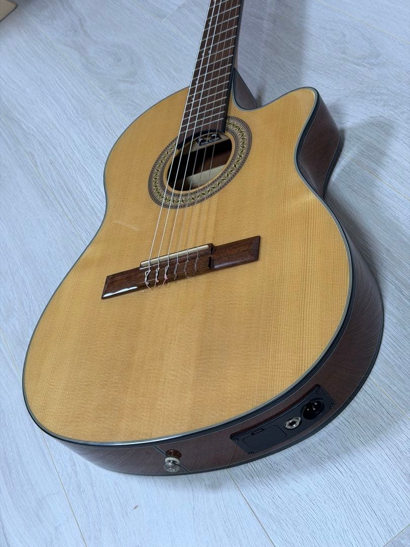 Ibanez エレガットギター GA30TCE-NT