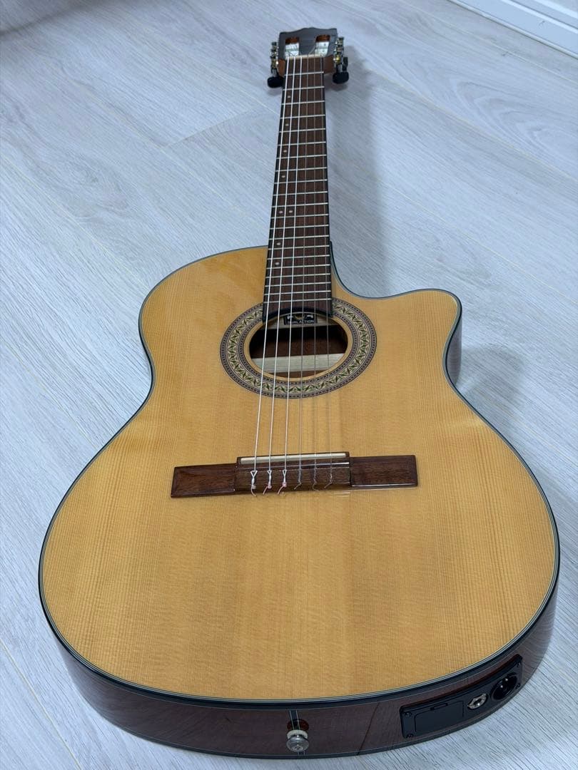 Ibanez エレガットギター GA30TCE-NT