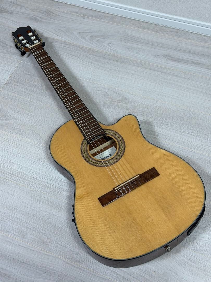 Ibanez エレガットギター GA30TCE-NT