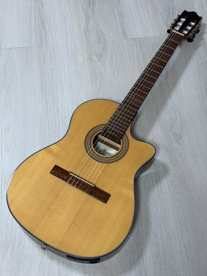 Ibanez エレガットギター GA30TCE-NT