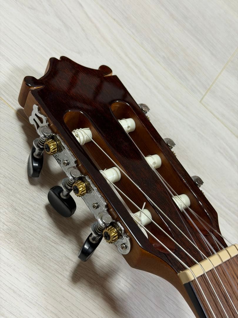 Ibanez エレガットギター GA30TCE-NT