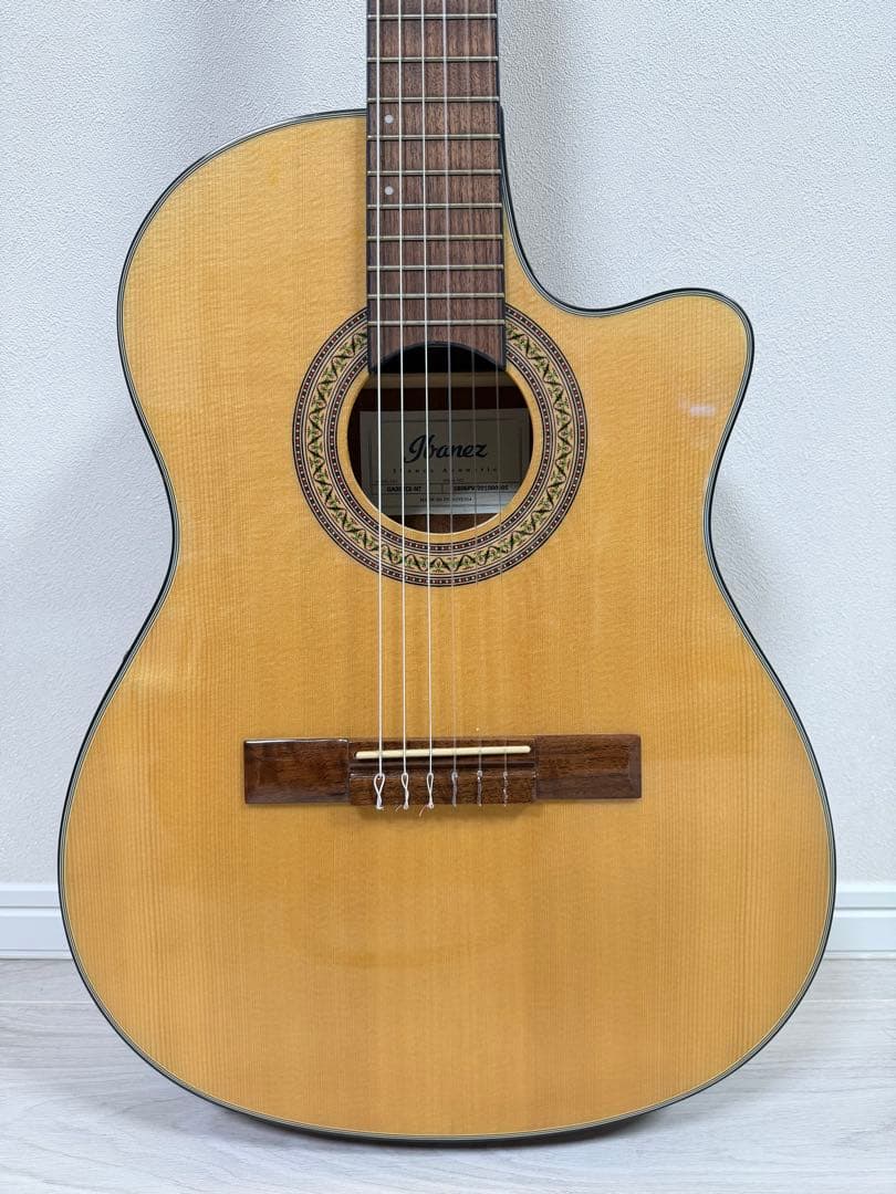 Ibanez エレガットギター GA30TCE-NT
