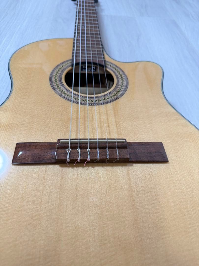 Ibanez エレガットギター GA30TCE-NT