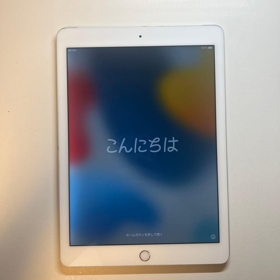 Apple iPad Air2本体