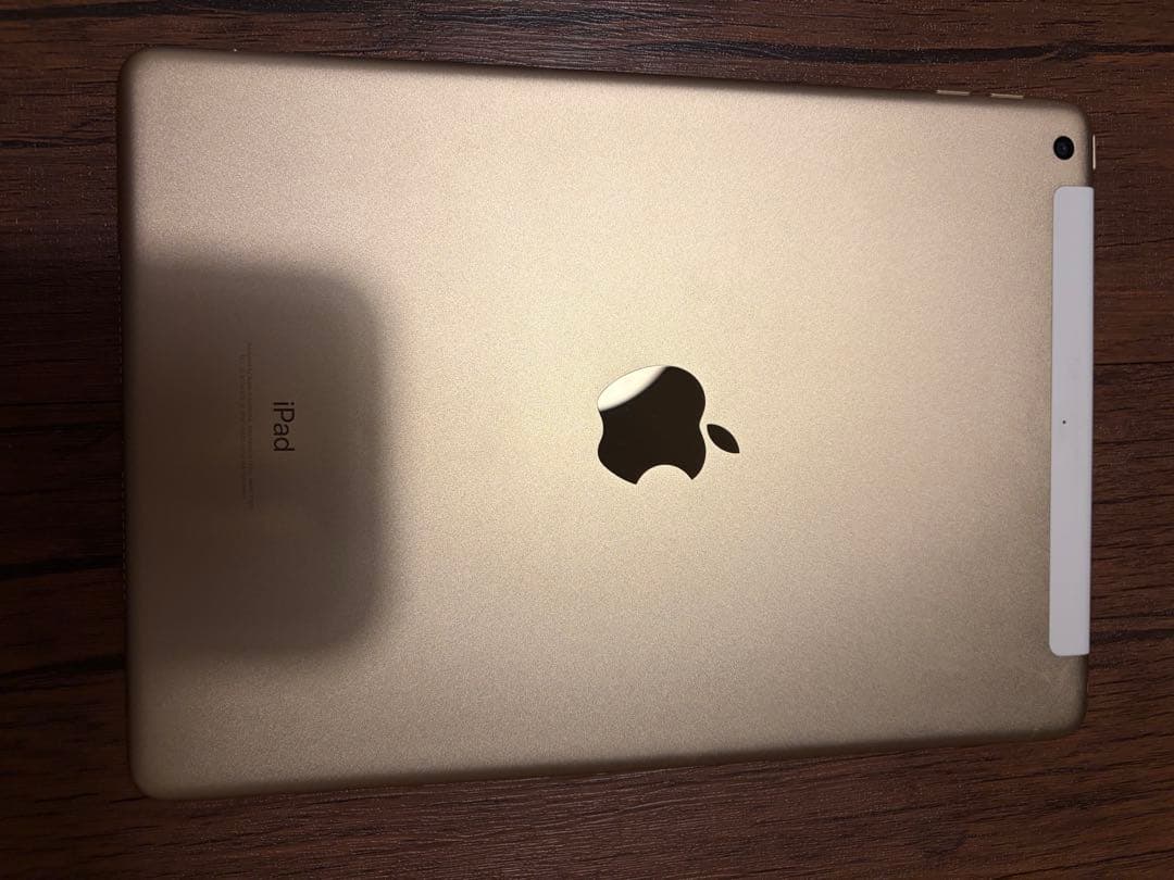 Apple iPad 第5世代 ゴールド 32GB ケース付き