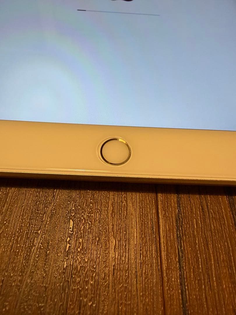 Apple iPad 第5世代 ゴールド 32GB ケース付き