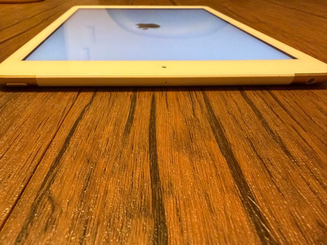 Apple iPad 第5世代 ゴールド 32GB ケース付き