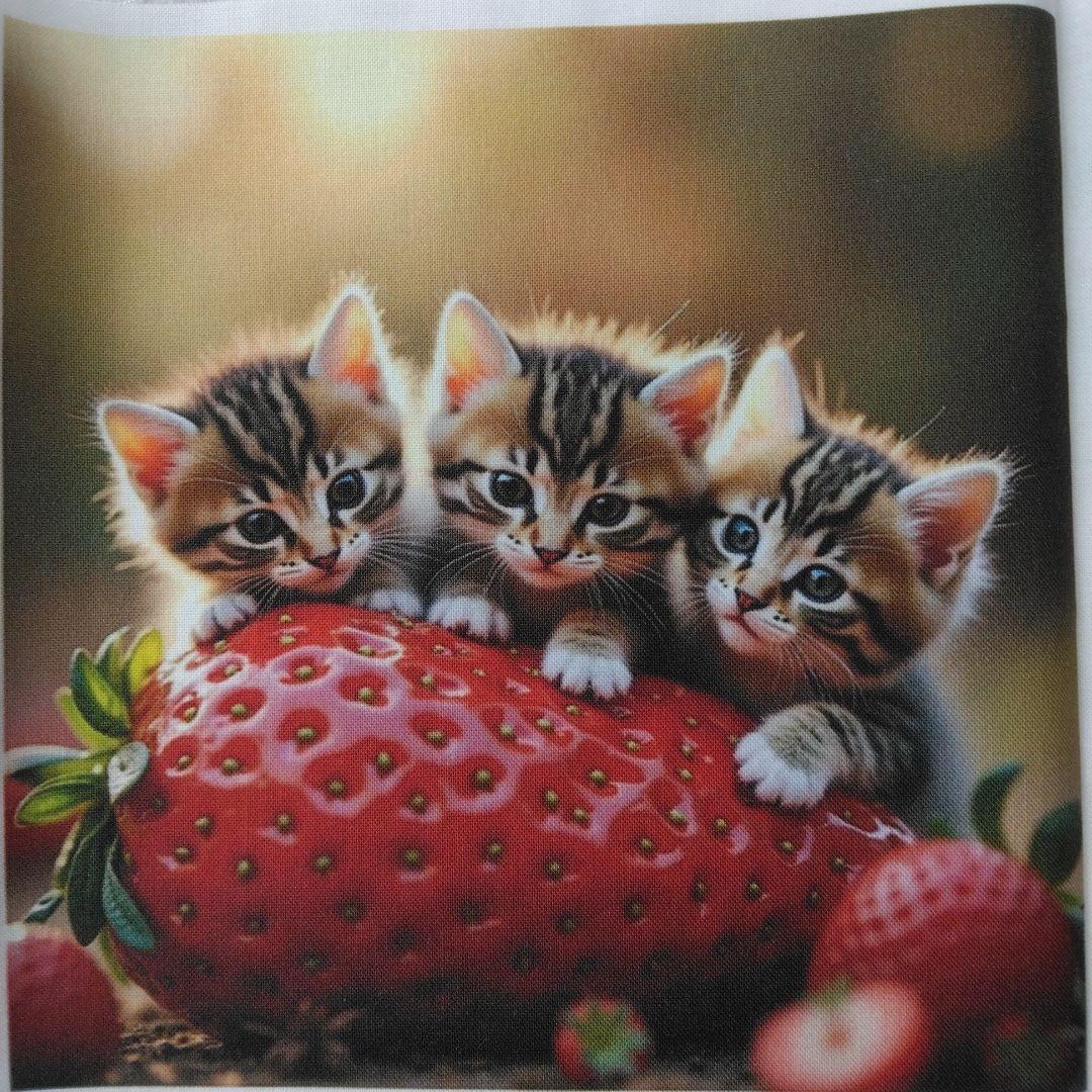 ☆受付☆Tabit様シーズー・猫