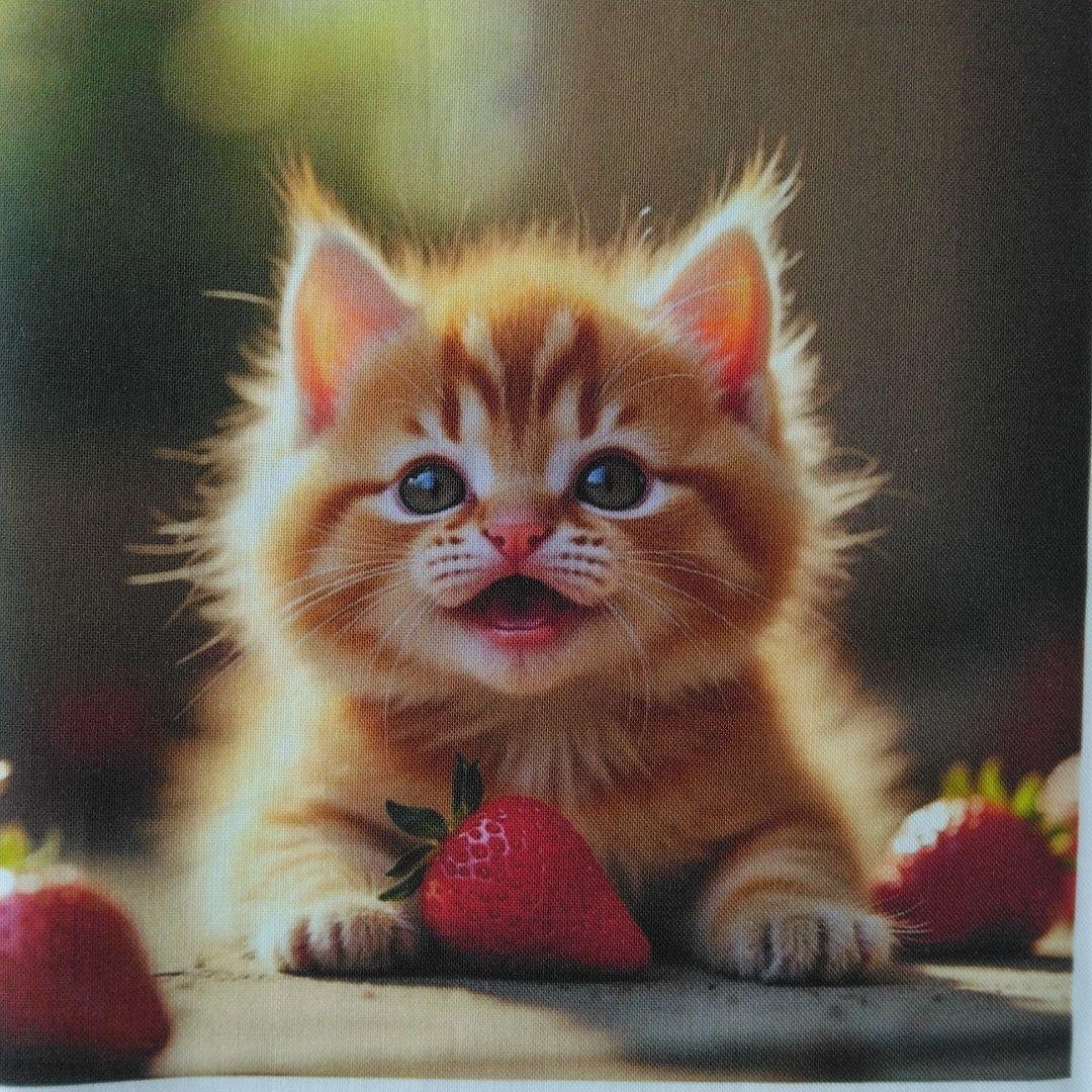 ☆受付☆Tabit様シーズー・猫