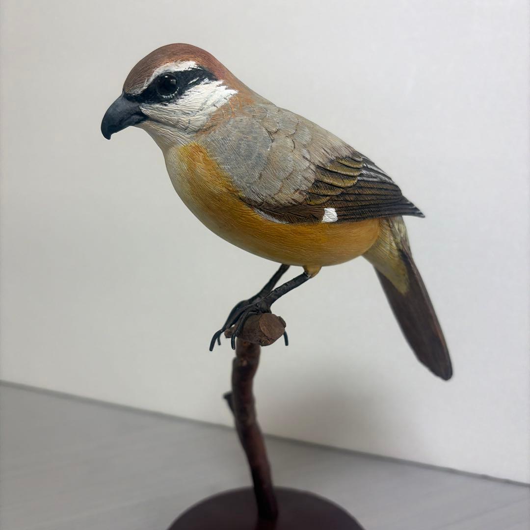 リアルバードカービング　野鳥「モズ」　野鳥彫刻　木彫り野鳥　ハンドメイド　一点物