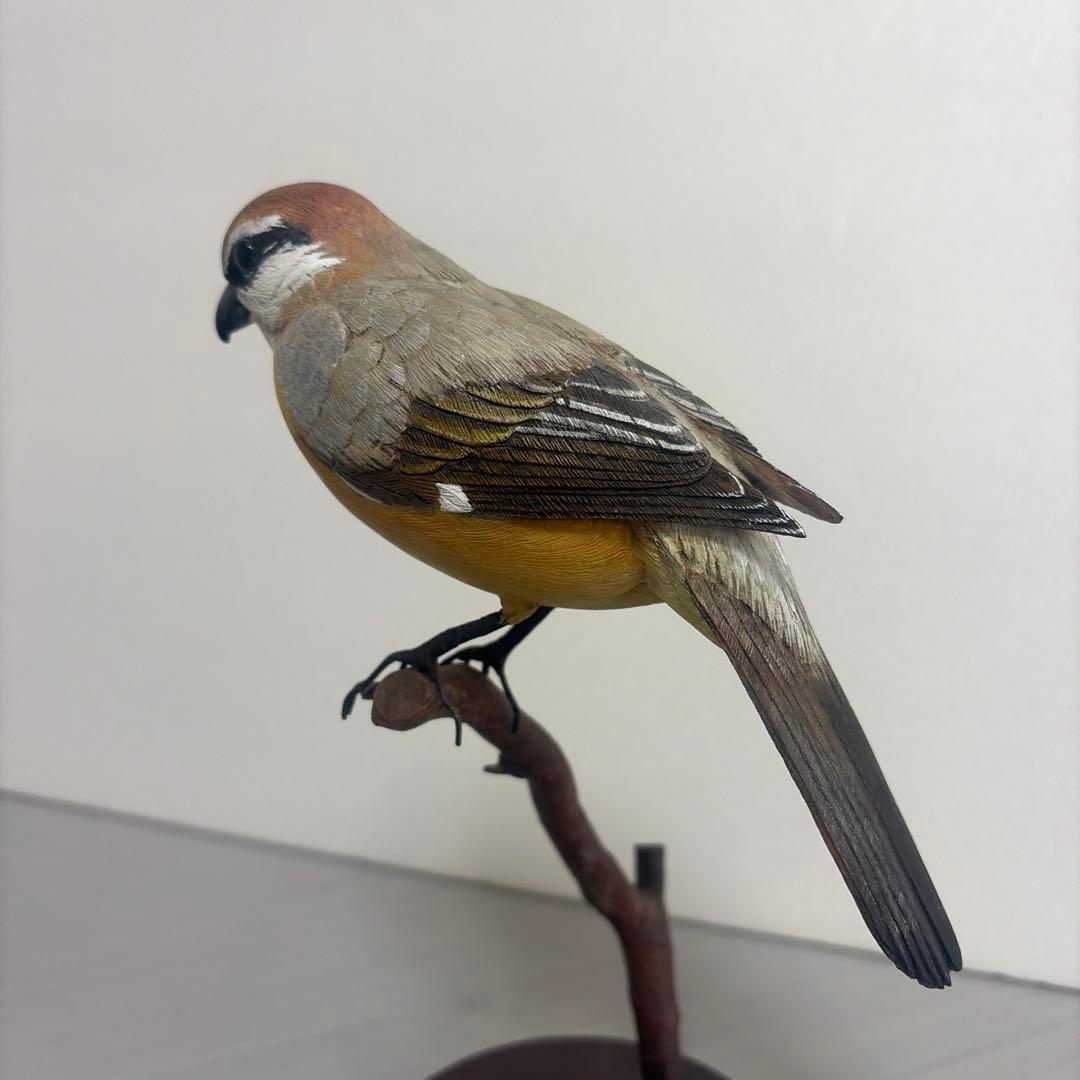 リアルバードカービング　野鳥「モズ」　野鳥彫刻　木彫り野鳥　ハンドメイド　一点物